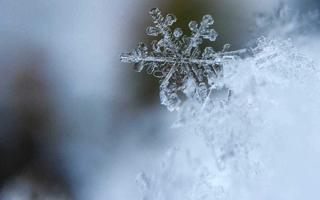 January 2017 A Chat with Teacher!