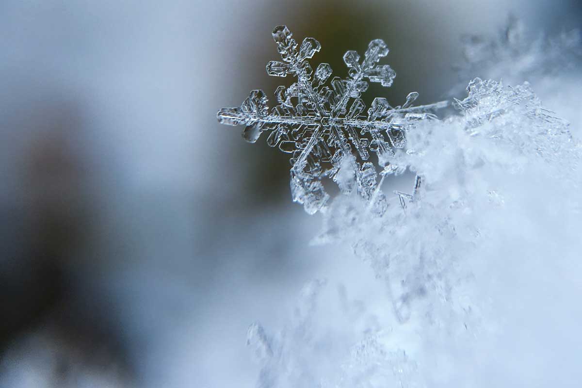 January 2017 A Chat with Teacher!