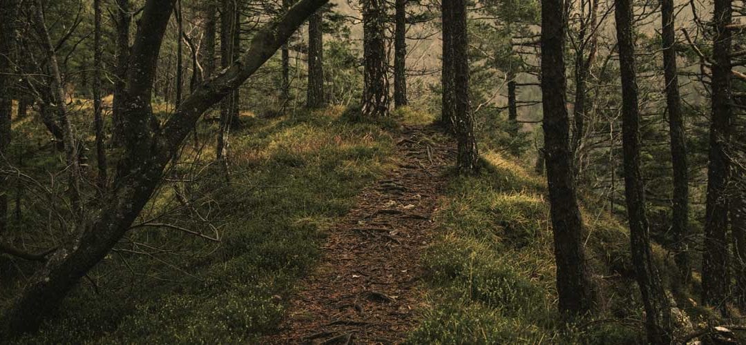 Communicating with Your Departed Loved One, Part 2