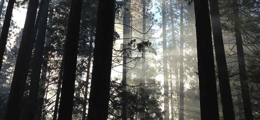 Clearing for Health & Well-Being, Part 1