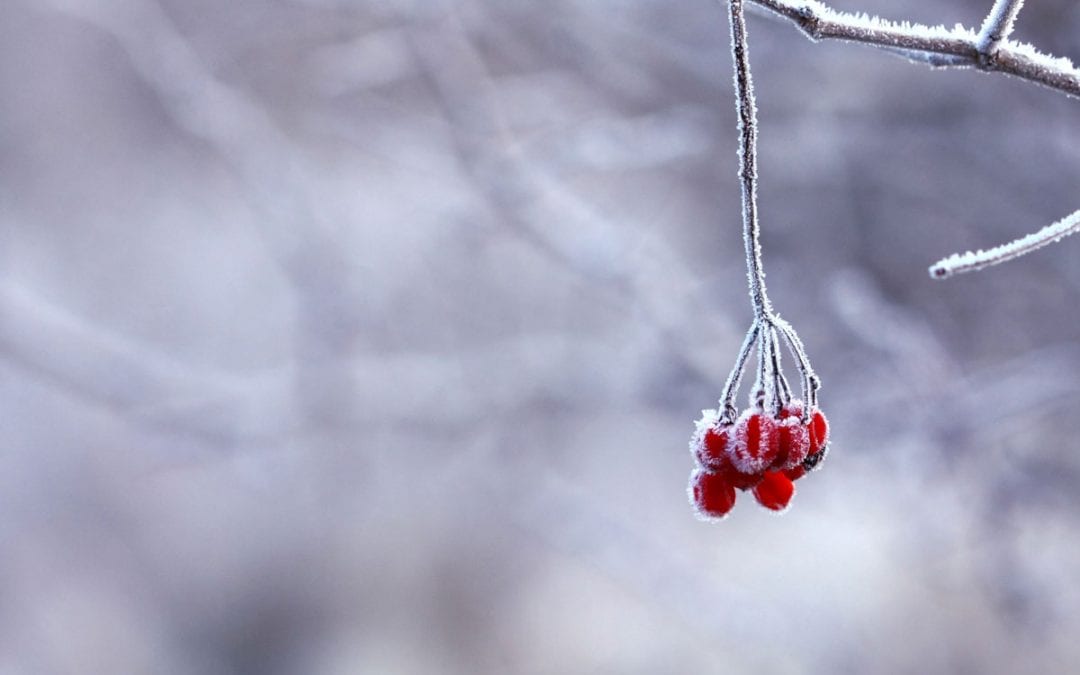 February 2017 Your Magical Moment!