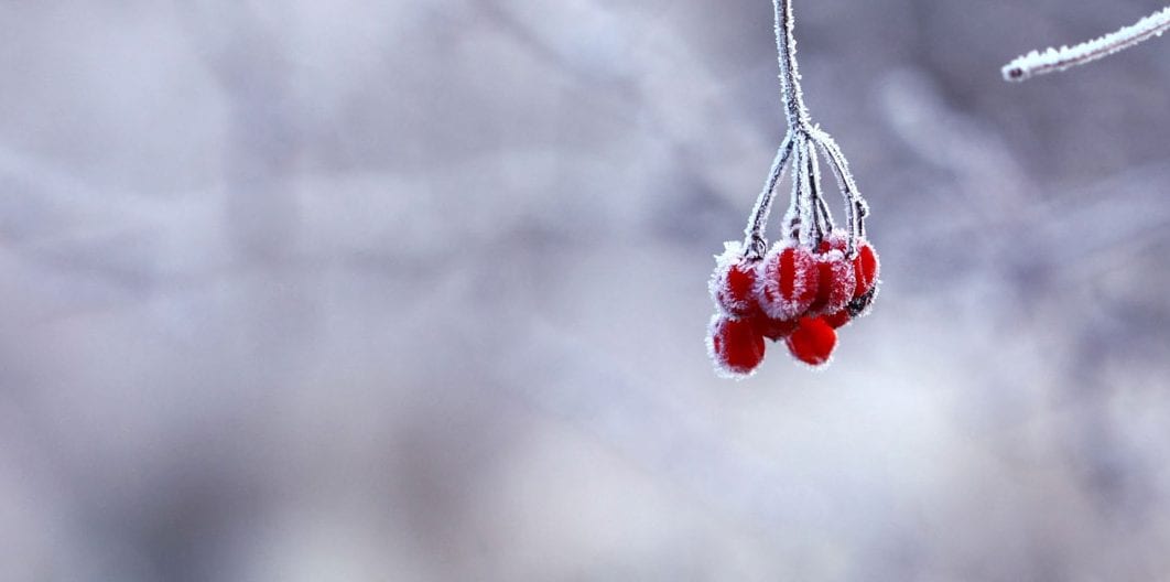 February 2017 Your Magical Moment!