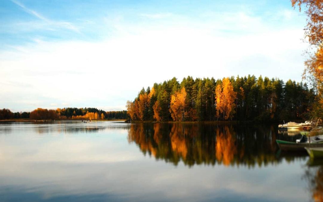 November 2017 Daily Reflection With Merlin