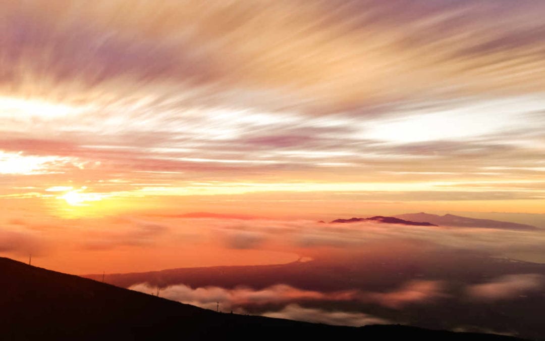 January 2018 Daily Reflection with the Divine Mother