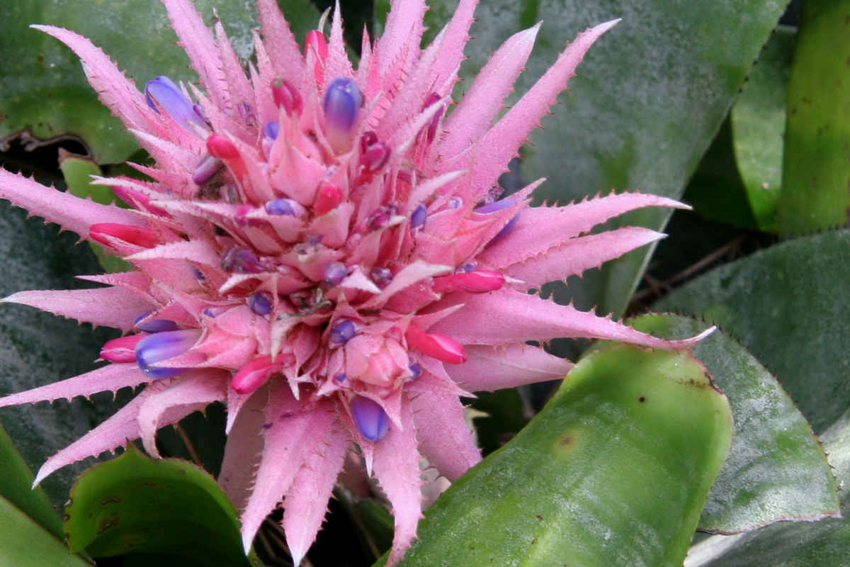 February 2018 Daily Reflection with Expanded Consciousness