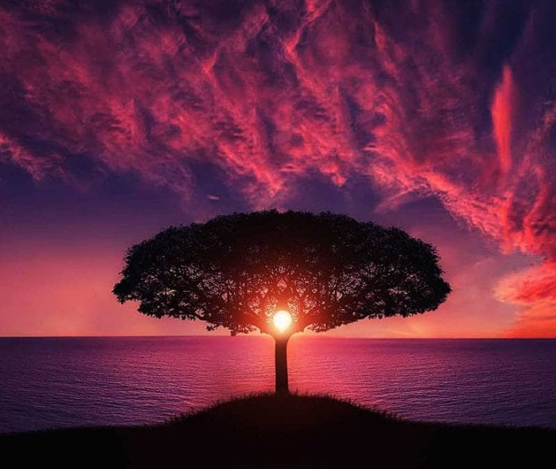 Your Personal Awakening Session