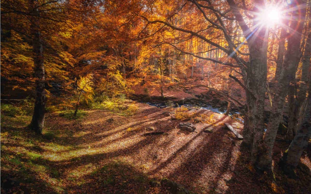 September 2018 Daily Reflection with Teacher