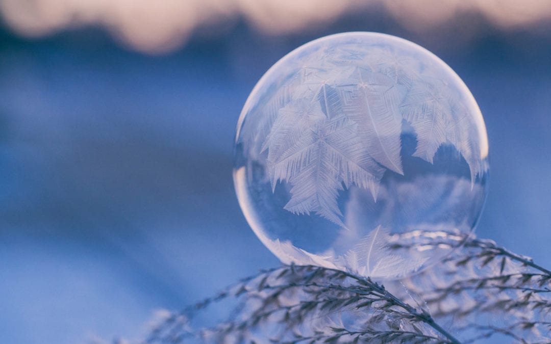 February 2019 Daily Reflection with Teacher