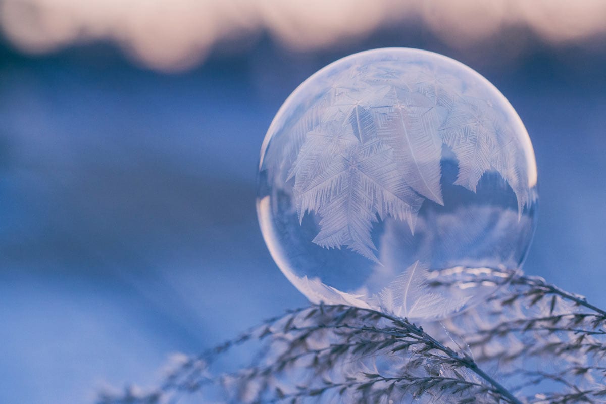 February 2019 Daily Reflection with Teacher