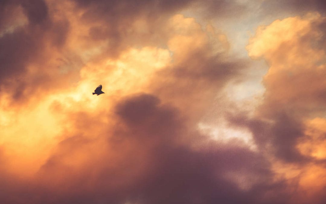 March 2019 Daily Reflection with Teacher