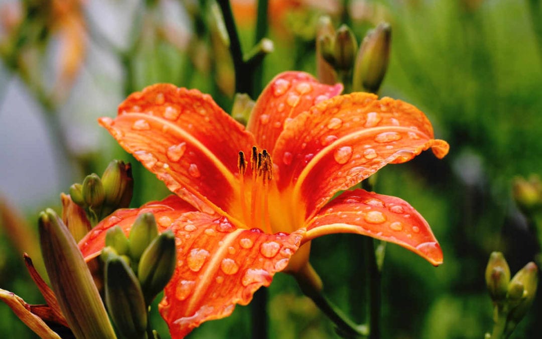 September 2019 Daily Reflection with Teacher