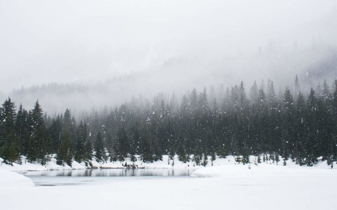 December 2019 Daily Reflection with Teacher