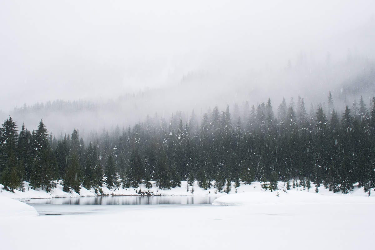 December 2019 Daily Reflection with Teacher