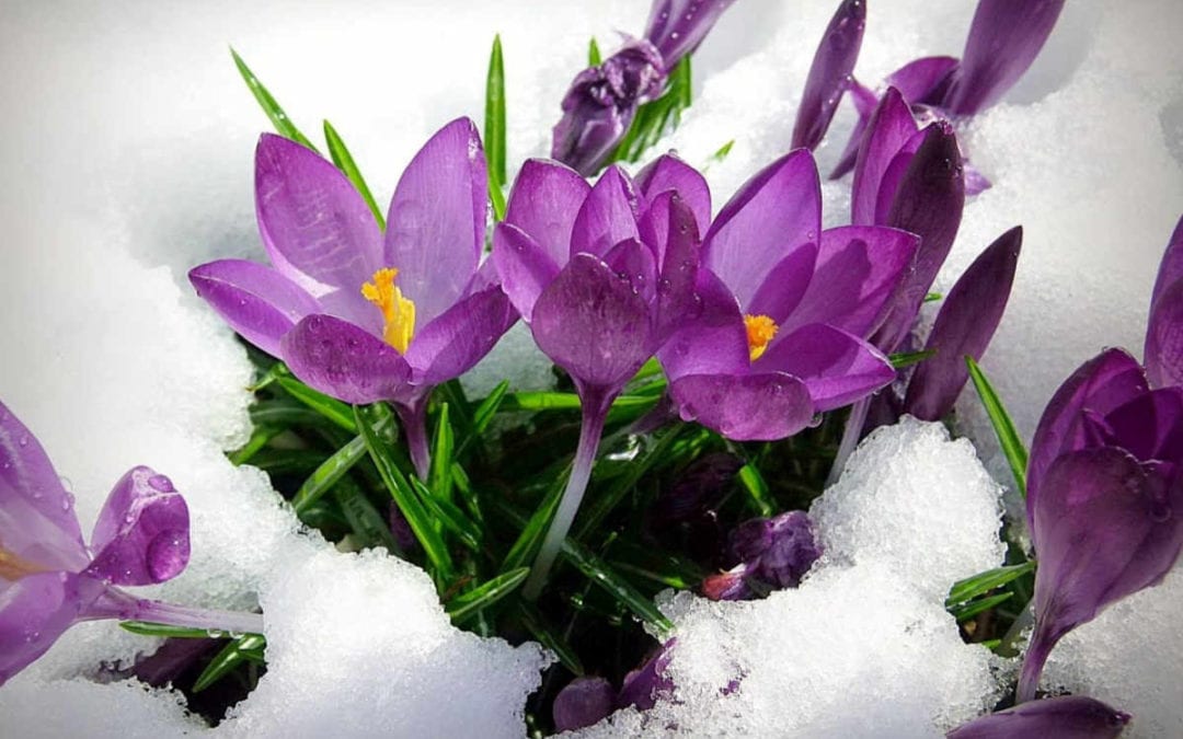 February 2020 Daily Reflection with Teacher