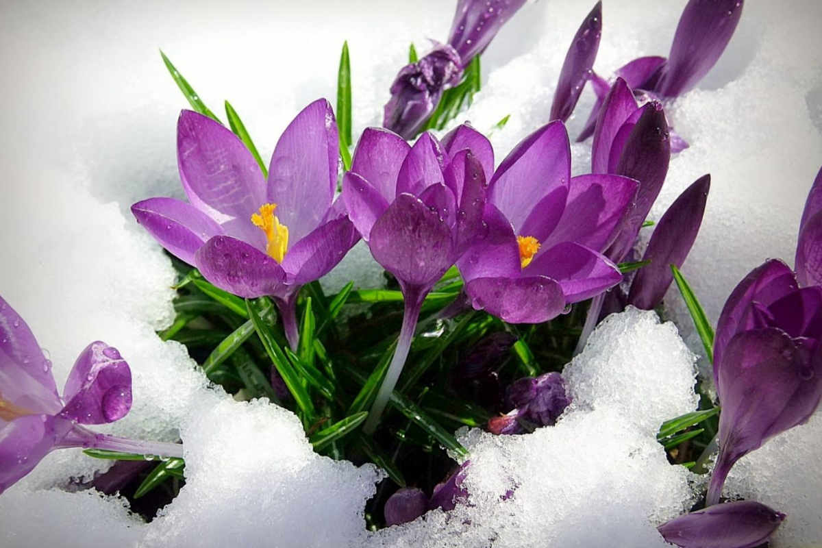 February 2020 Daily Reflection with Teacher