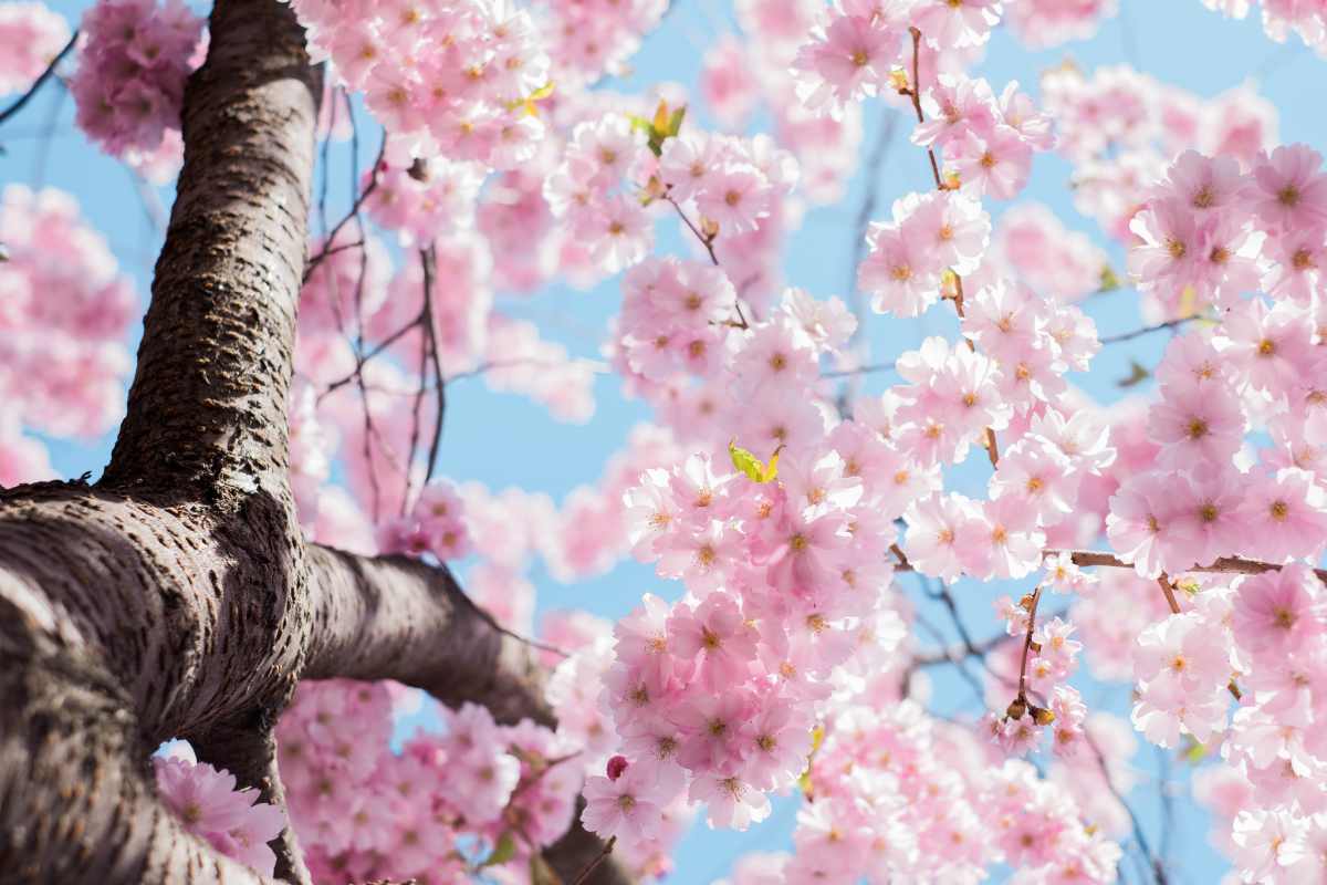 March 2020 Daily Reflection with Teacher