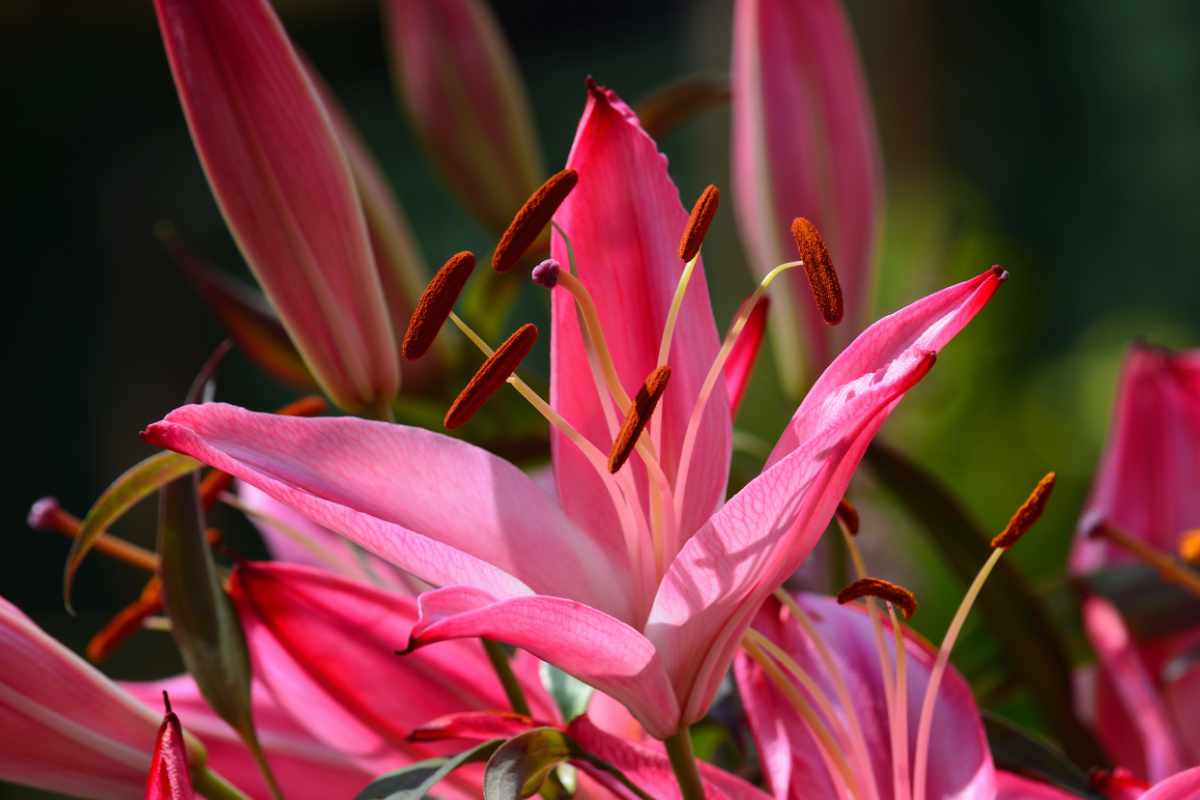 April 2020 Daily Reflection with Teacher