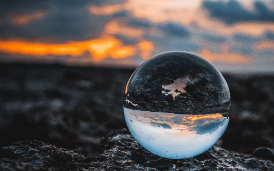 July 2020 Bonus Reflection with Spirit of the Earth