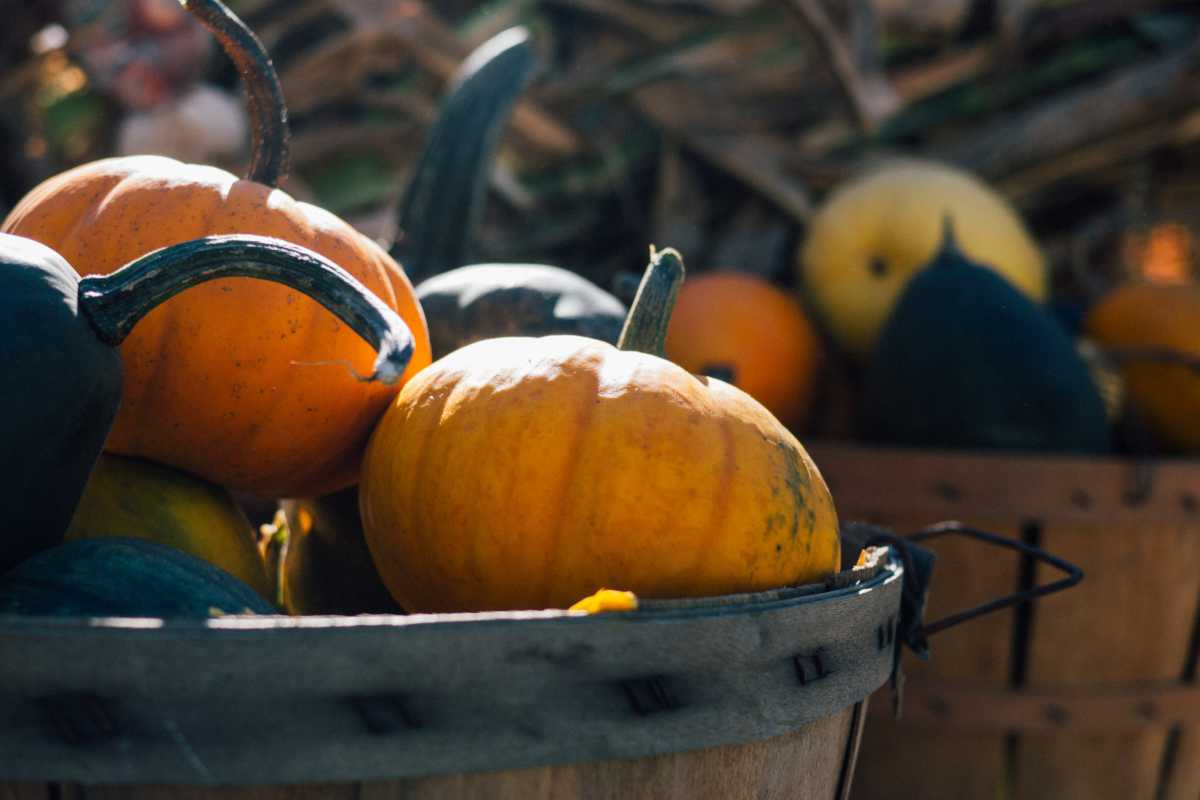 October 2020 Daily Reflection with Teacher