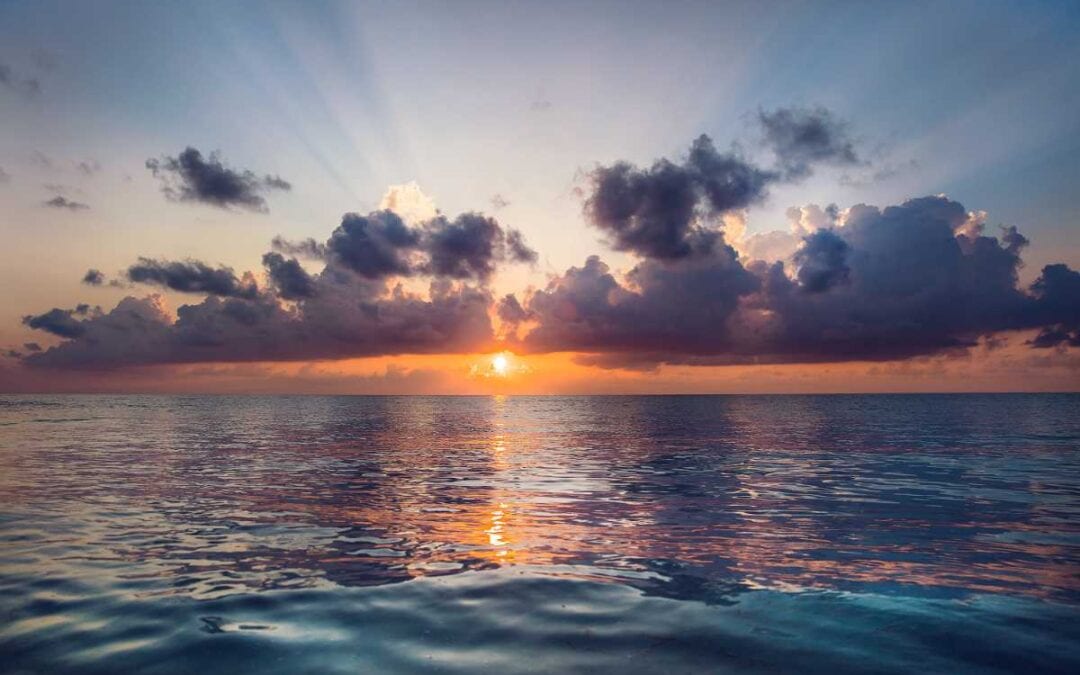 November 2020 Daily Reflection with Teacher