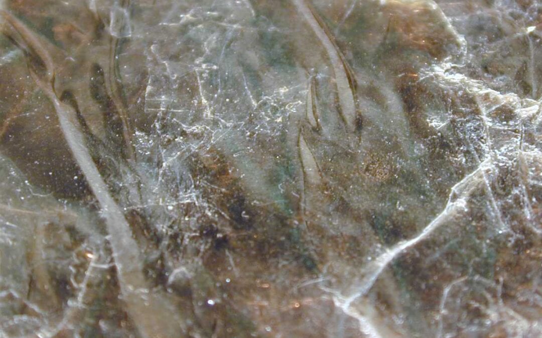 January 2021 Daily Reflection with Teacher