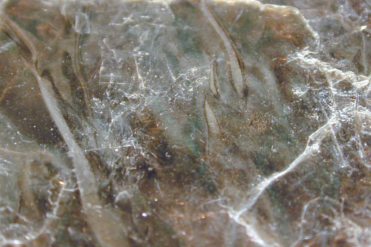 January 2021 Daily Reflection with Teacher