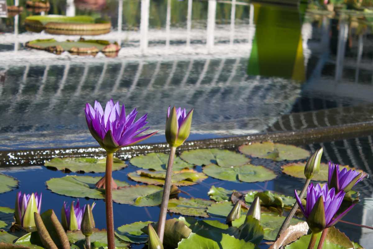 April 2021 Daily Reflection with Teacher