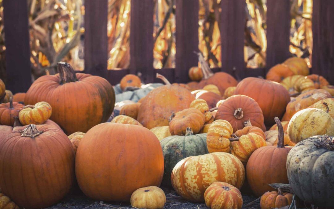 November 2021 Daily Reflection with Teacher