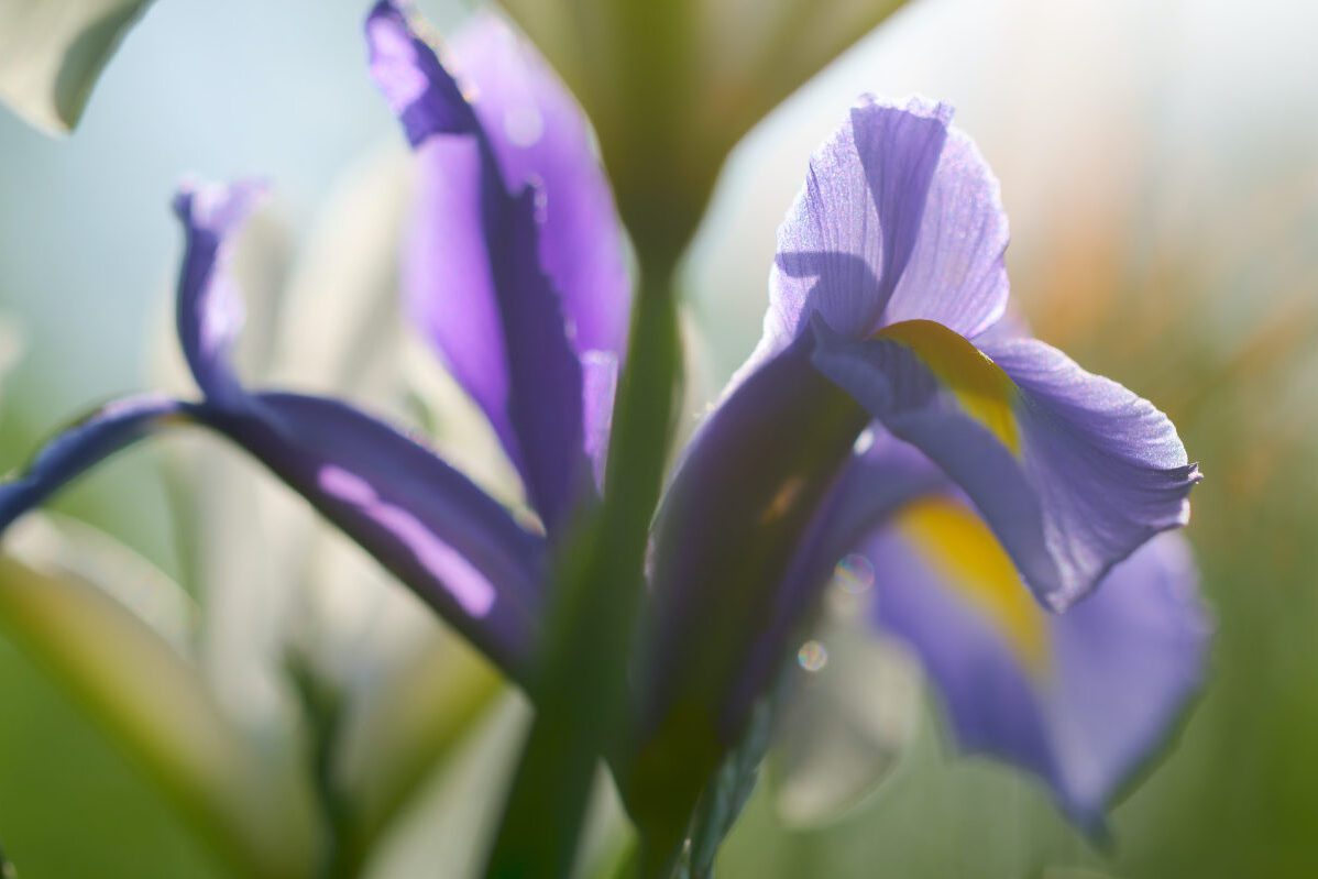 June 2022 Daily Reflection with Teacher