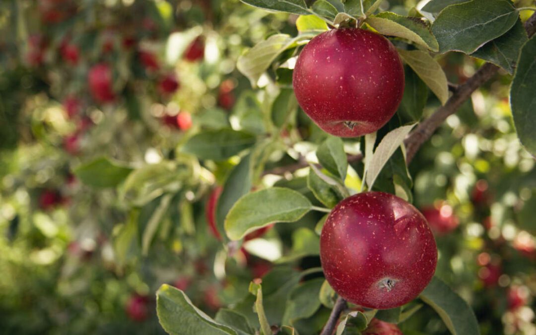 October 2022 Daily Reflection with Teacher