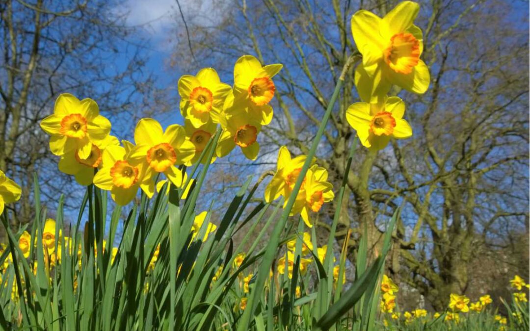 March 2025 Daily Reflection with Teacher