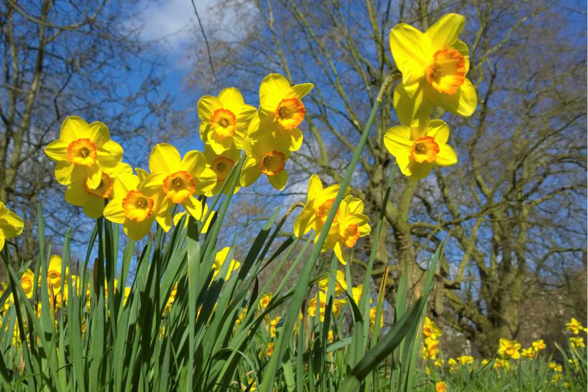 March 2025 Daily Reflection with Teacher