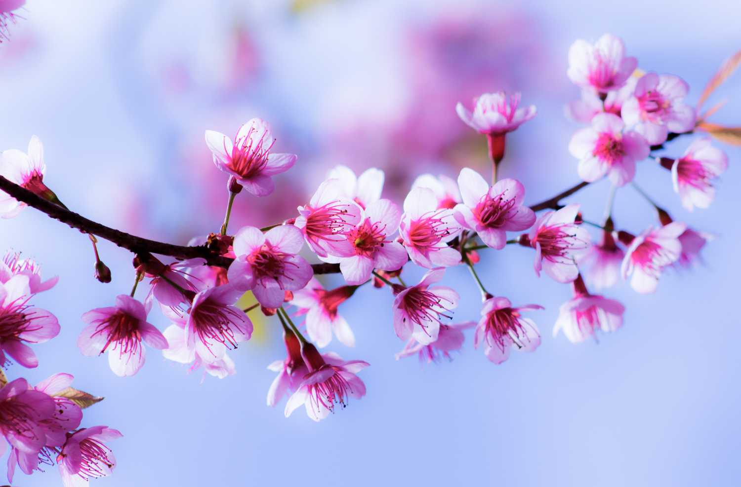April 2025 Daily Reflection with Teacher