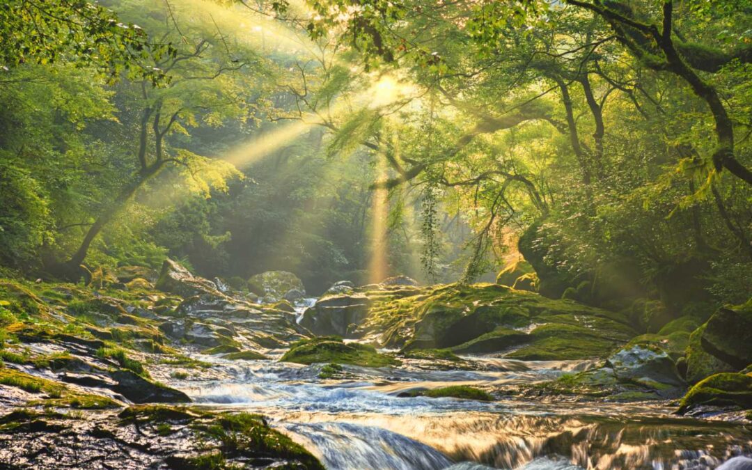 December 2025 Daily Reflection with Teacher