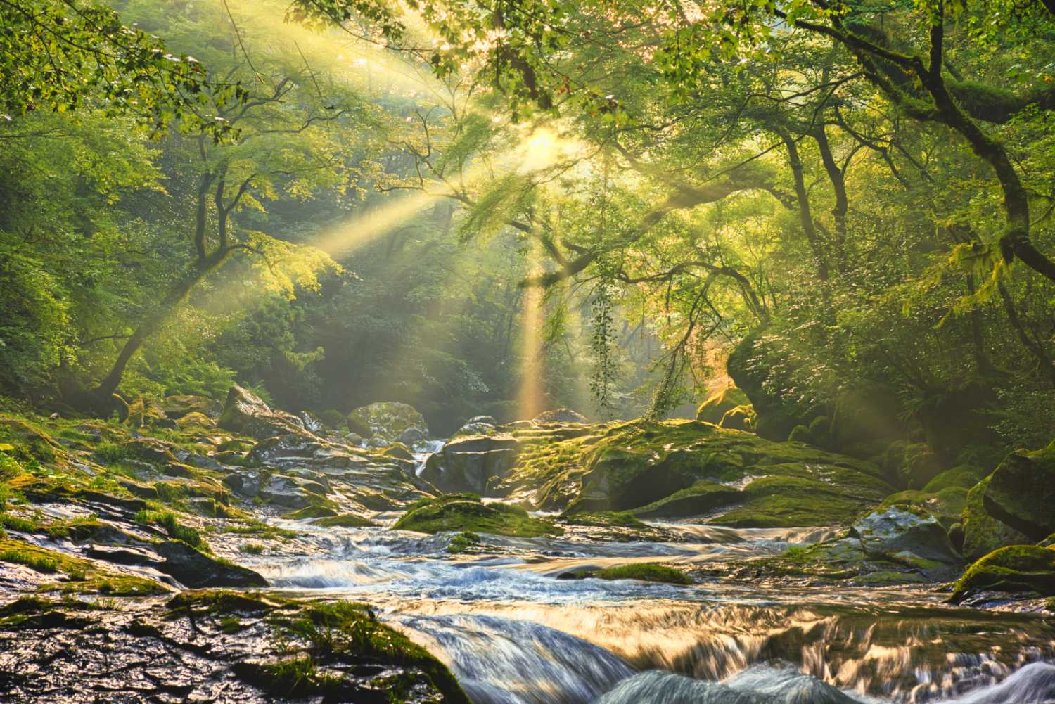 December 2025 Daily Reflection with Teacher